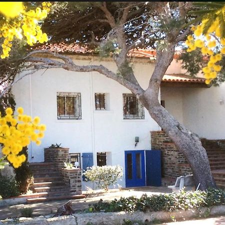 Villa Bleue - Les Pins Port Vendres Exterior photo