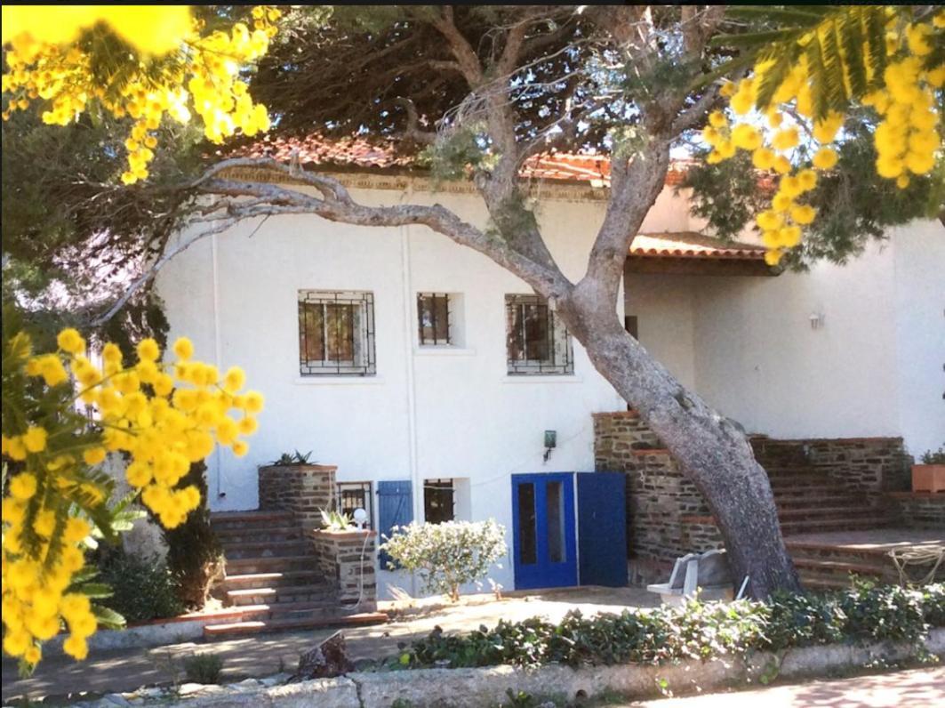 Villa Bleue - Les Pins Port Vendres Exterior photo